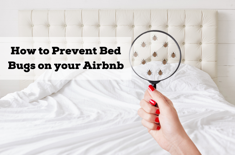 How to prevent bed bugs on your airbnb